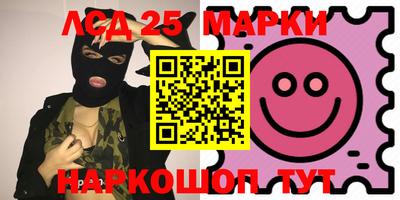 индика Шелехов