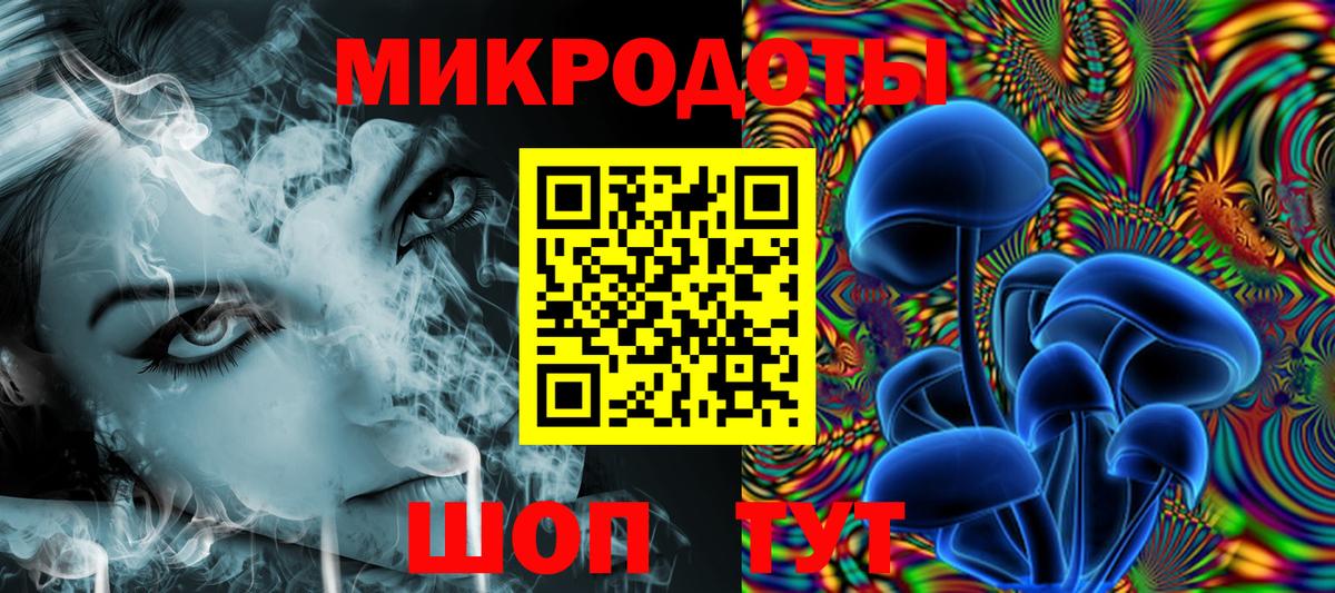 Галлюциногенные грибы Psilocybine cubensis Петрозаводск