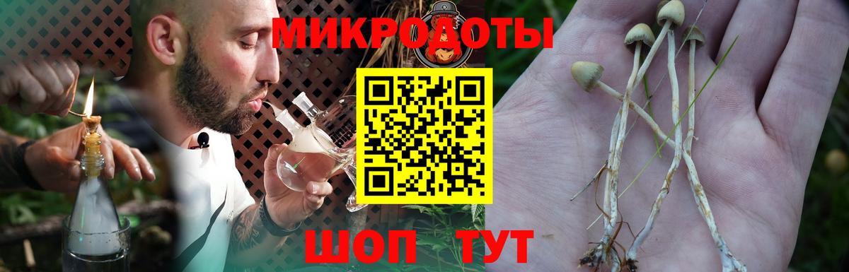 Петрозаводск  Псилоцибиновые грибы мухоморы  Вход с VPN 