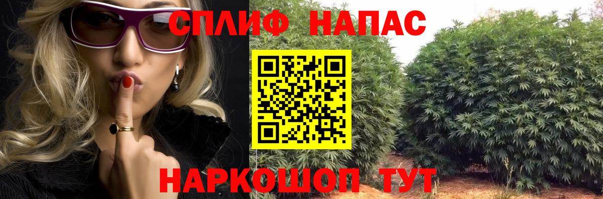 Бошки Шишки MAZAR Петрозаводск